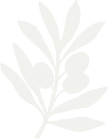 Silhouette of a plant with leaves and round buds or fruits on a black background.