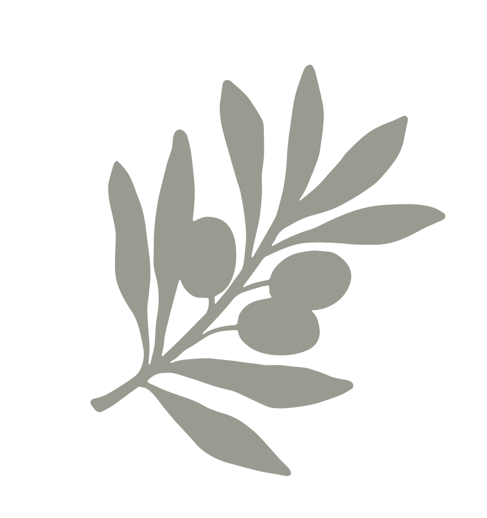 A stylized gray illustration of an olive branch with leaves and olives.