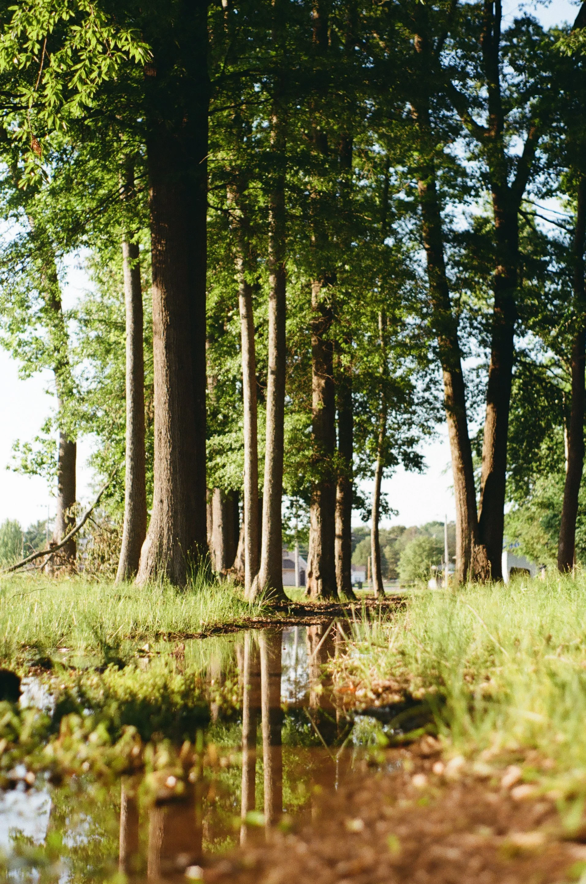 small-000430550033.jpg