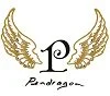 Pendragon Shoes