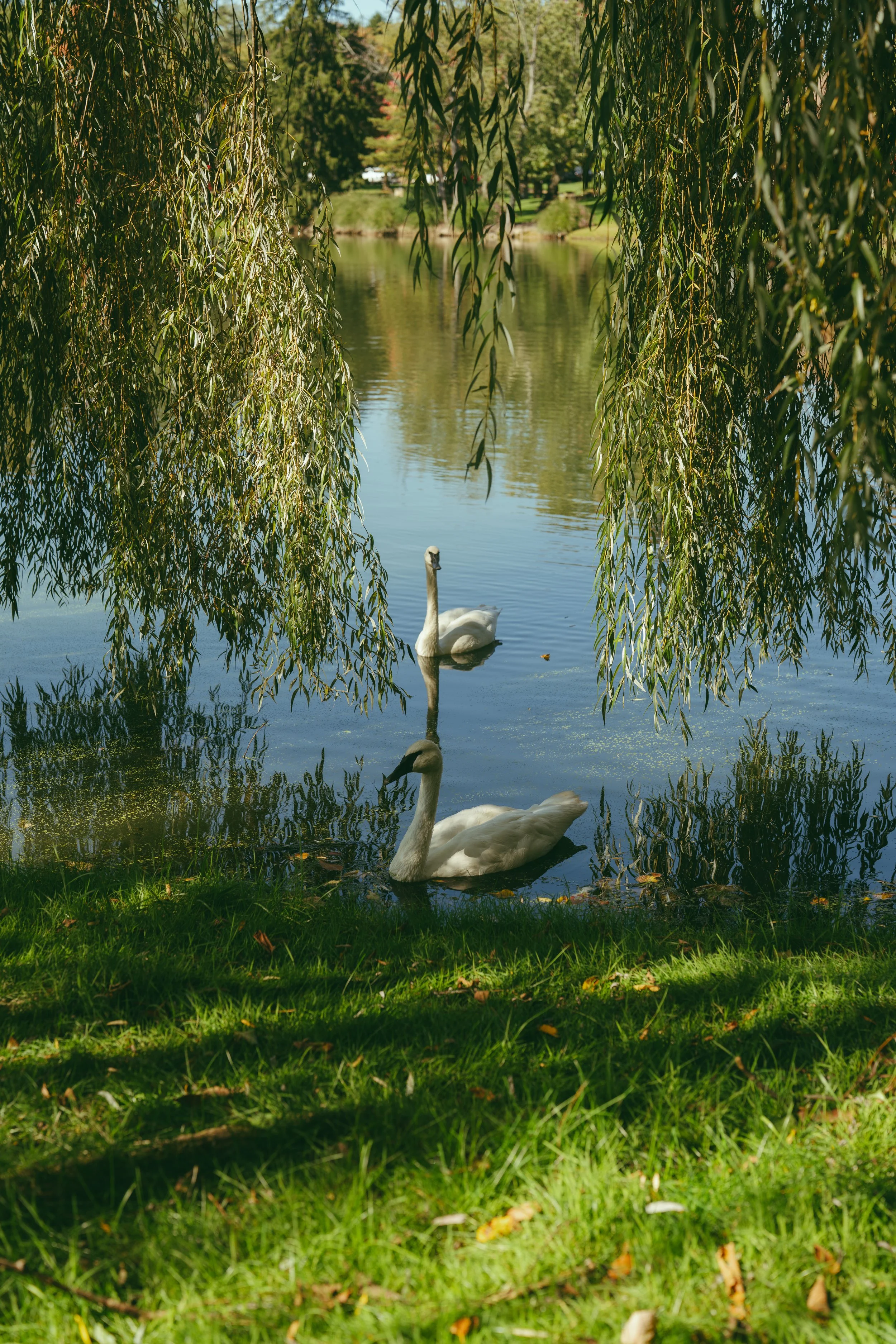 DSC04652.jpg