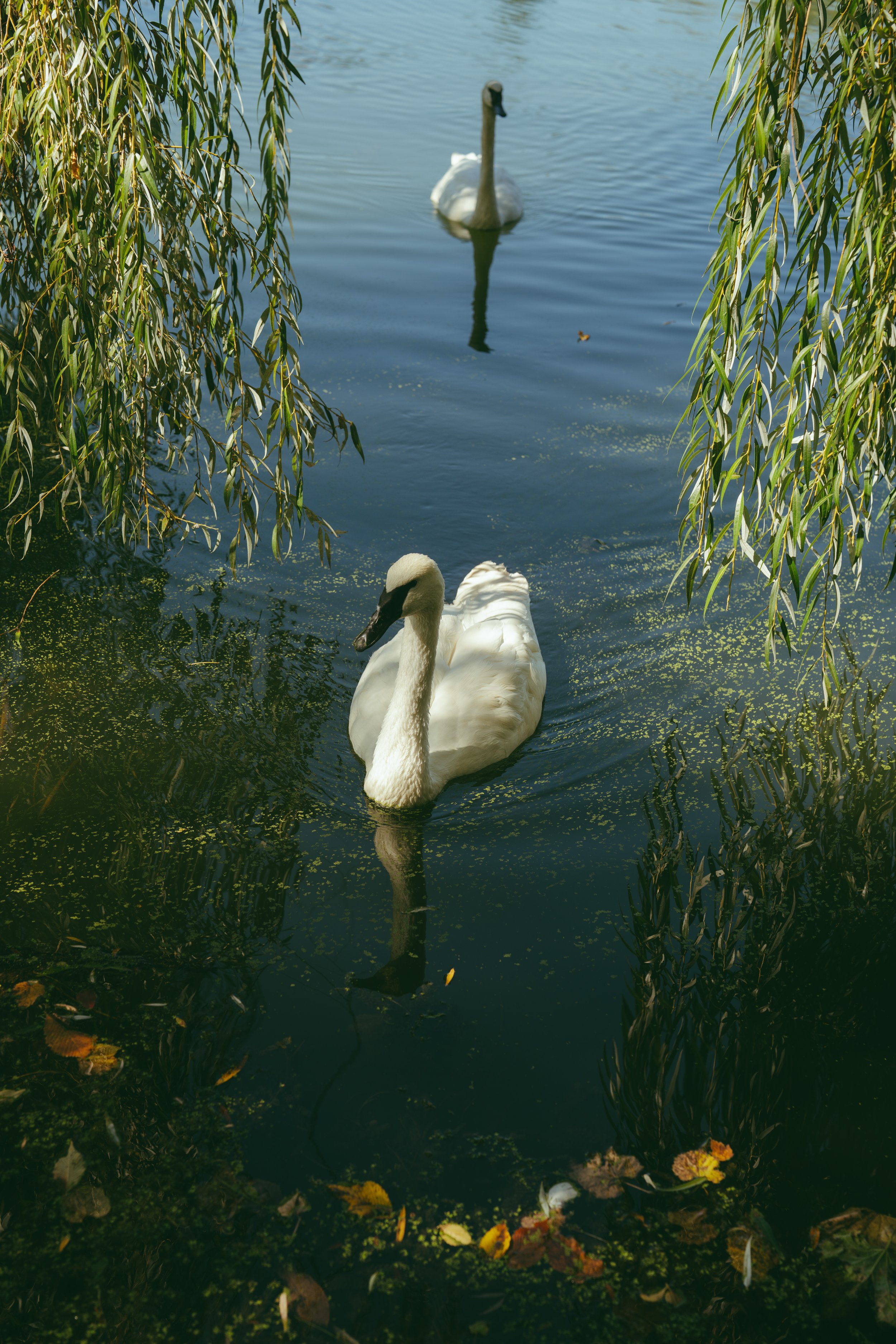 DSC04647.jpg
