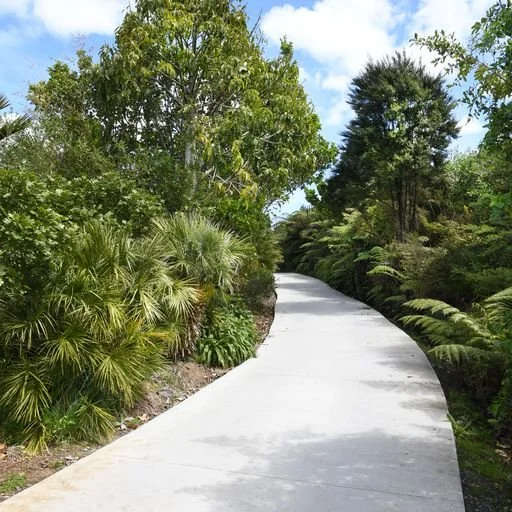A sweeping concrete driveway through an established garden.