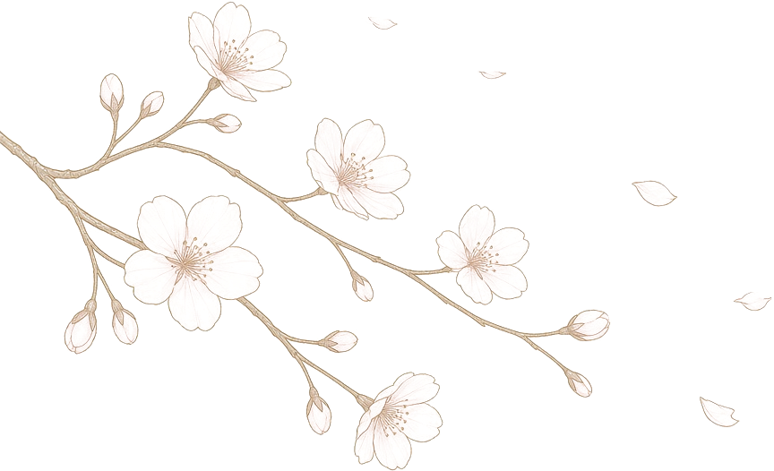 Elegant illustration of a flowering cherry blossom branch with blossoms and falling petals on a black background.