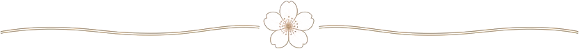 A blank white page with a pink flower at the bottom center and a decorative line above it.