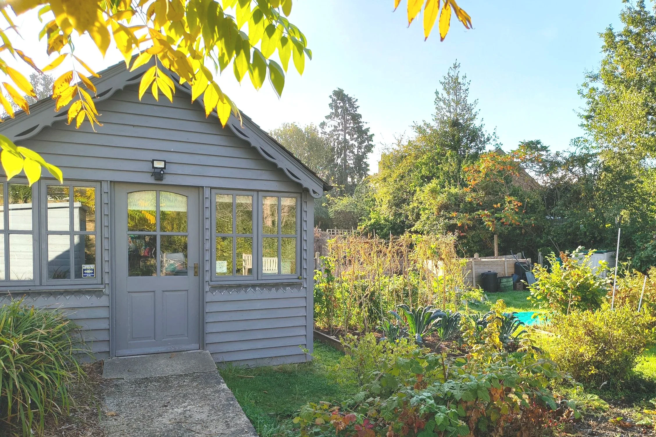 A garden and Garden Room in the sunshine