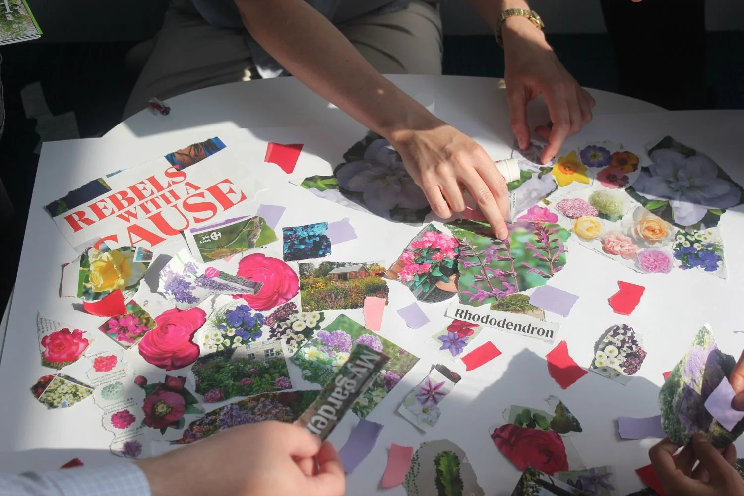 People making a collage using cuttings from gardening magazines