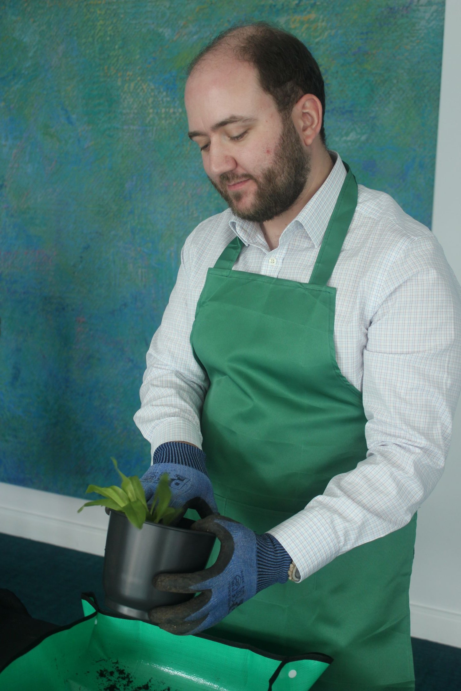 Someone in an office potting up a sweet william plant