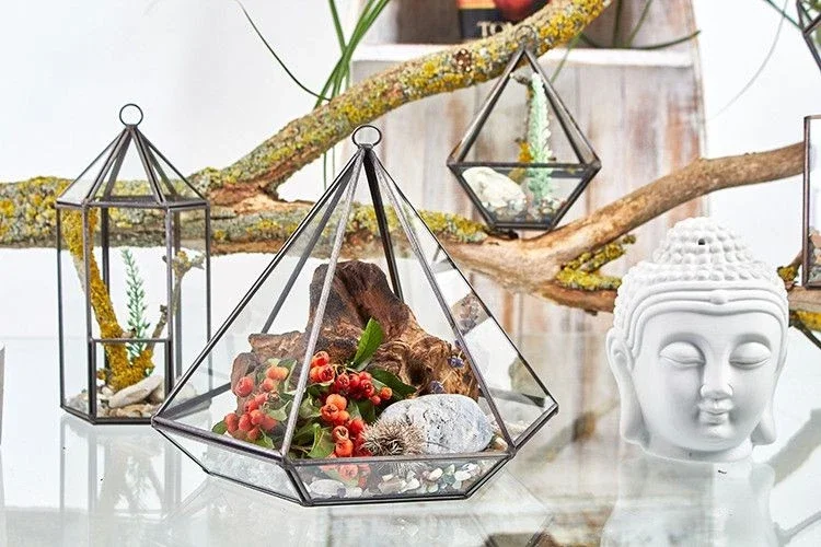 Decorative glass terrariums with plants and rocks, a white Buddha head sculpture, and a moss-covered tree branch.