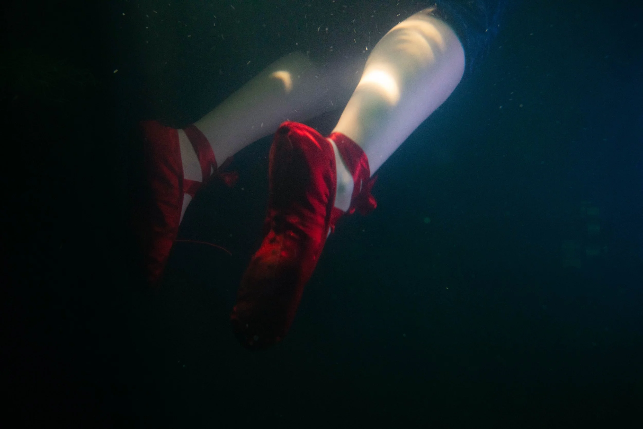 FY0A8711.jpg