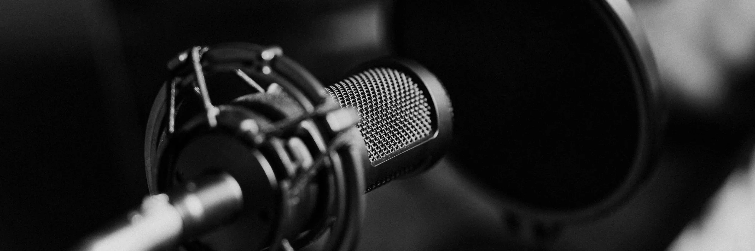 Close-up of a professional studio microphone in a black and white photo.