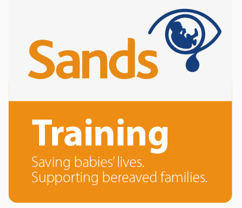 SANDS Training logo with a stylized eye containing a fetus image, and text that reads "SANDS Training, Saving babies' lives. Supporting bereaved families."