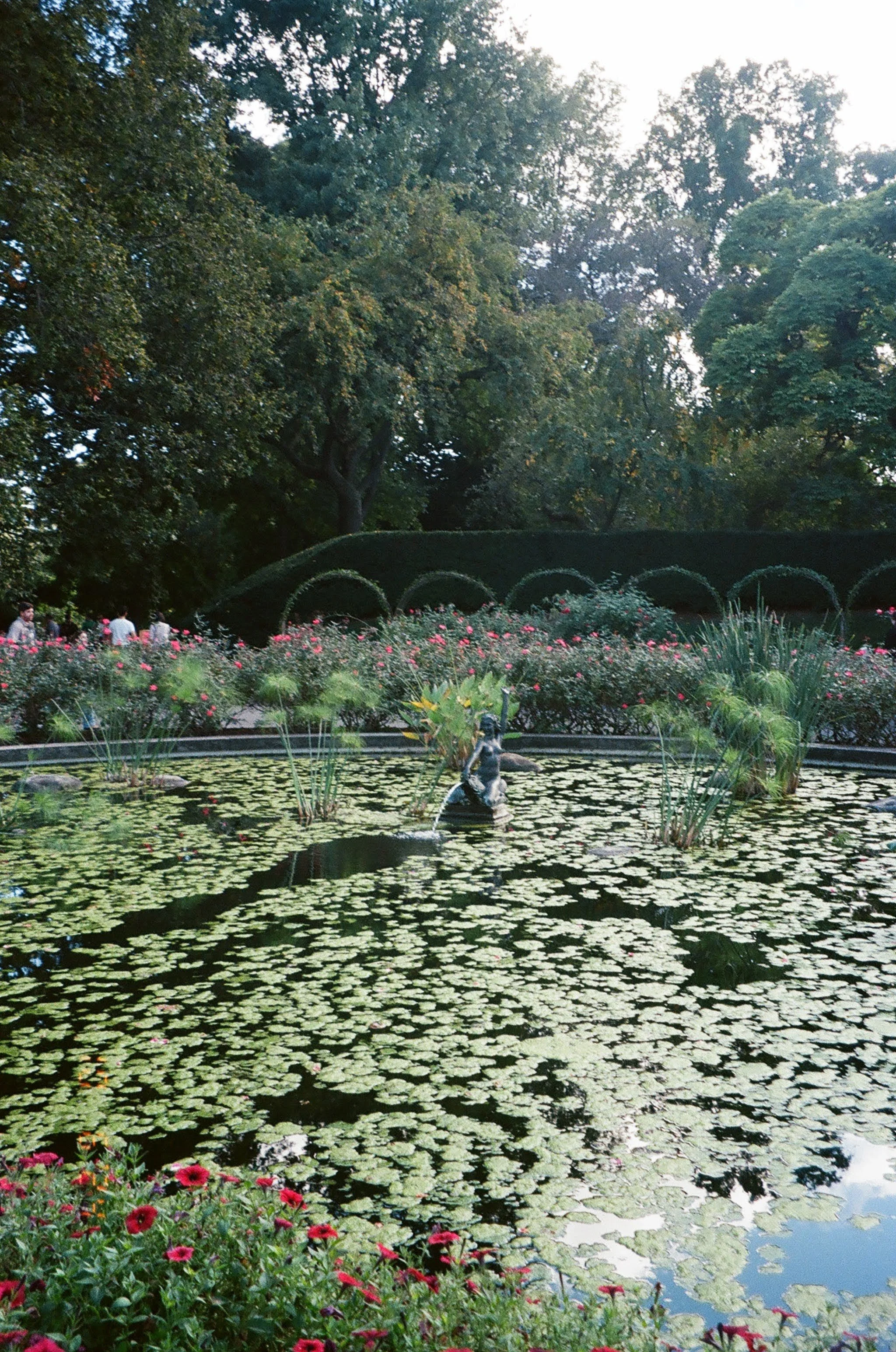 A pond covered with lily pads and pink flowers, with a small fountain and a statue of a dog in the foreground. In the background, there are large trees and a hedge with decorative arches, with people strolling in the garden.