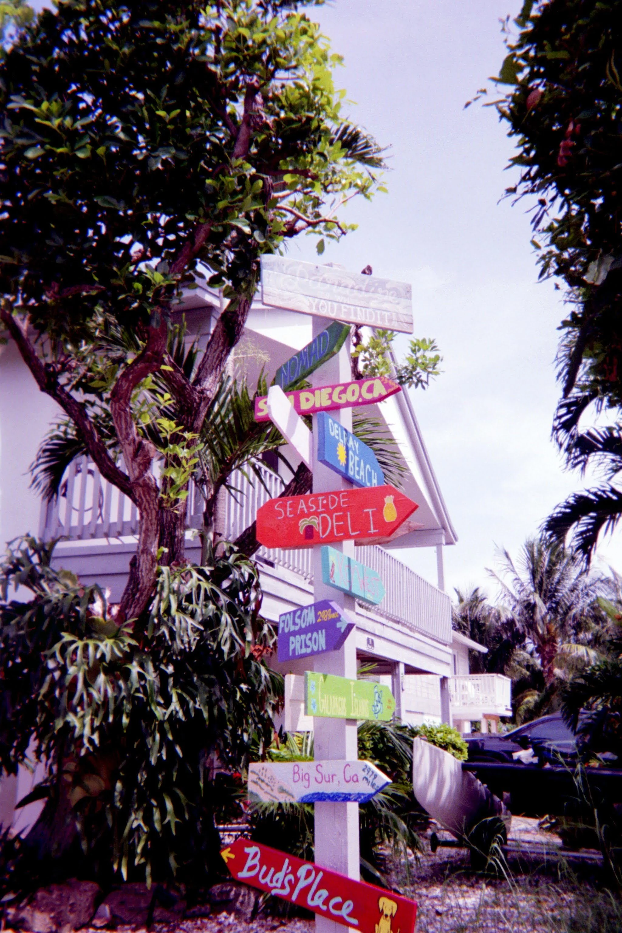 Colorful directional signs on a white post near a tree, indicating directions to various locations such as San Diego, Delray Beach, Big Sur, and Bud's Place, with buildings, plants, and palm trees in the background.