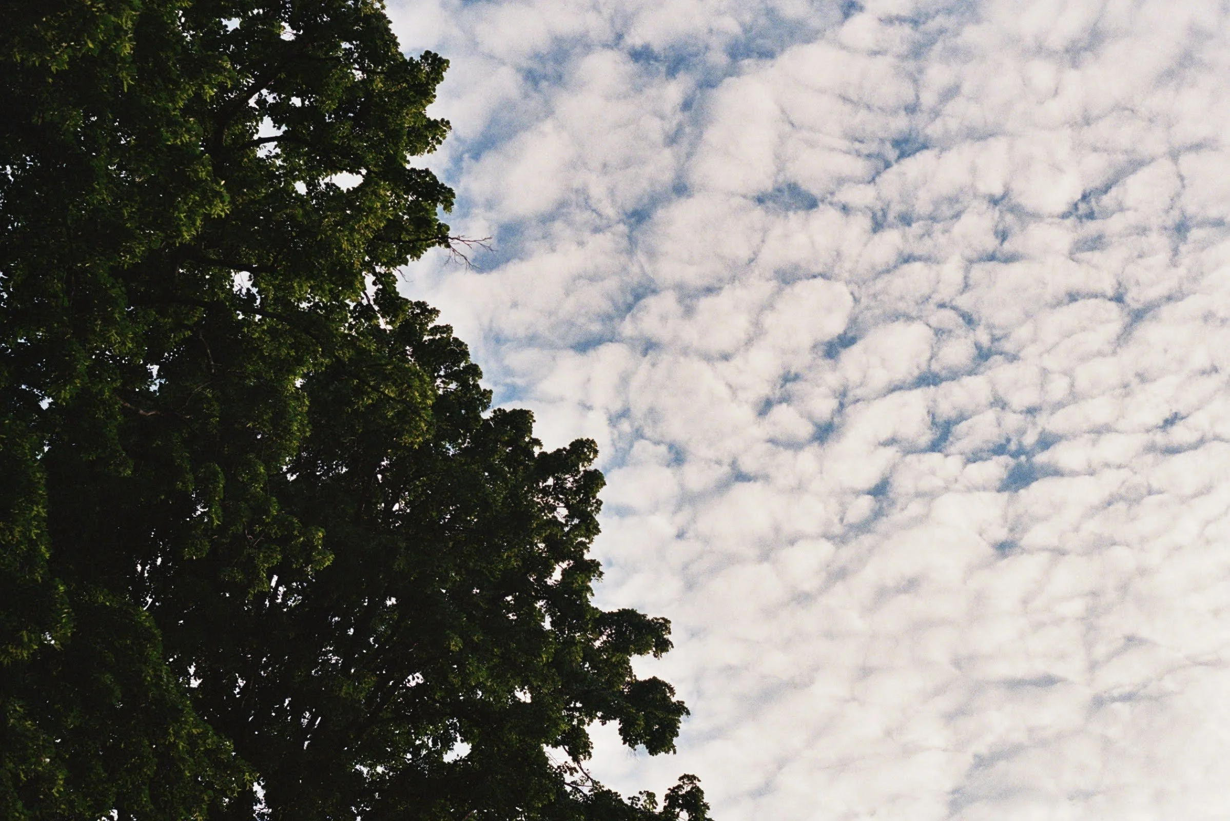 7A_00818.jpg