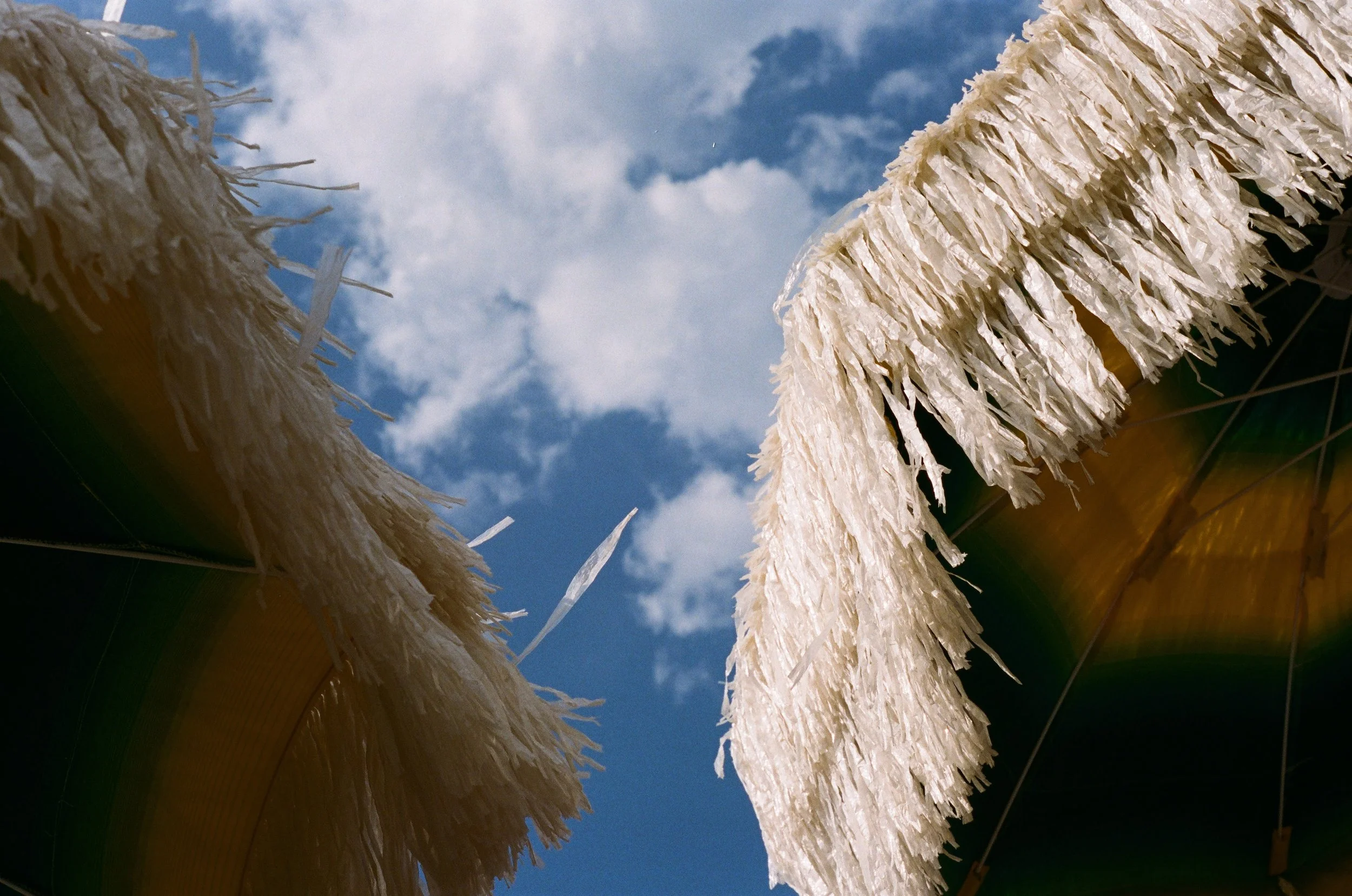 Close-up of straw or hay bundled inside a large container with a blue sky and clouds in the background.