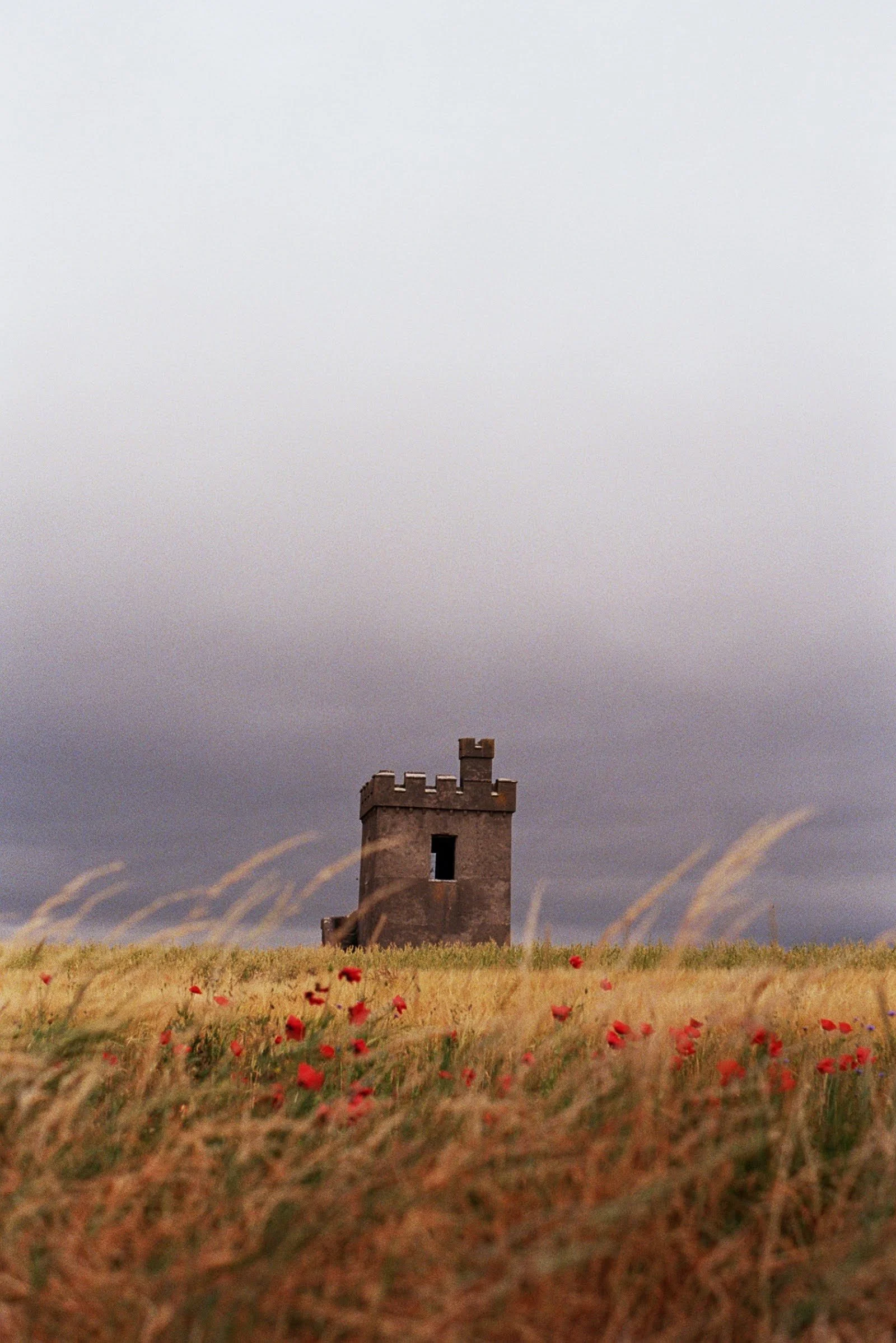 A tall brick castle tower with battlements stands in the middle of a field of wildflowers and tall grass, under a cloudy sky.