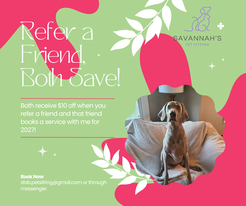 Promotional flyer for Savannah's Pet Sitting, offering $10 off when referring a friend who books a service in 2027. The flyer features a large dog sitting on a couch interior, surrounded by a colorful design with pink, green, and white accents, and a logo with a purple outline of a dog and pet sitting text.