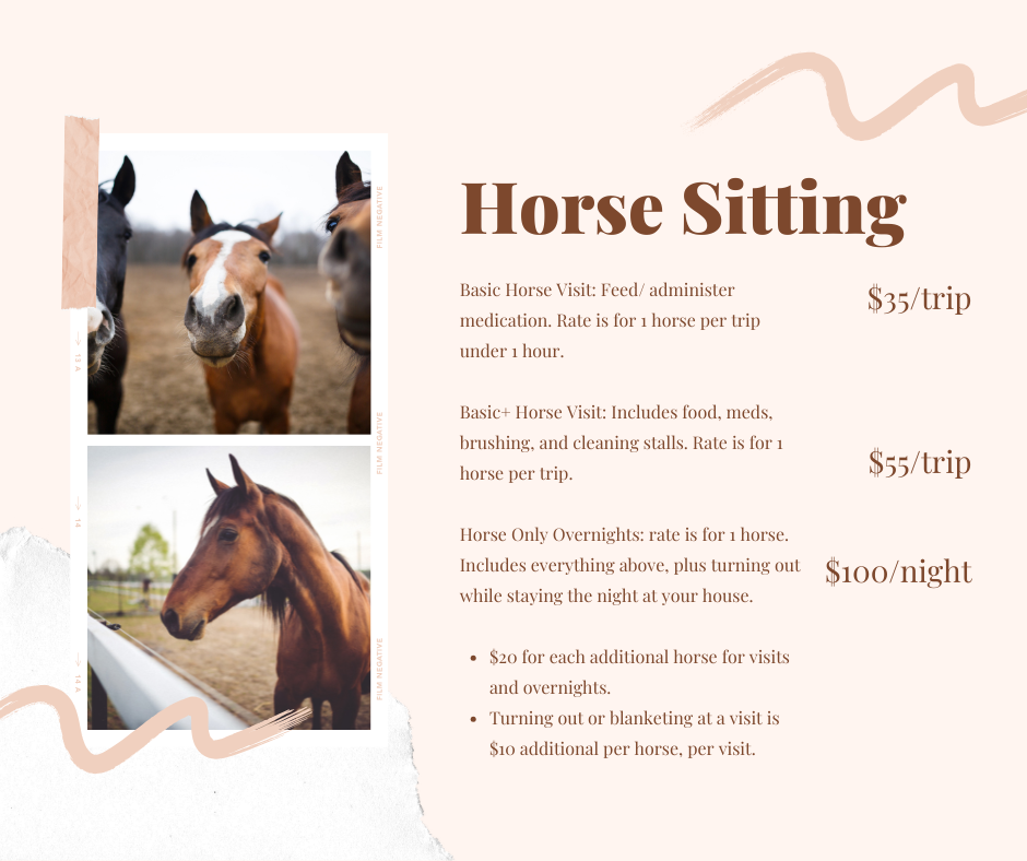 Flyer advertising horse sitting services with images of horses. Pricing details for different horse sitting options are listed.