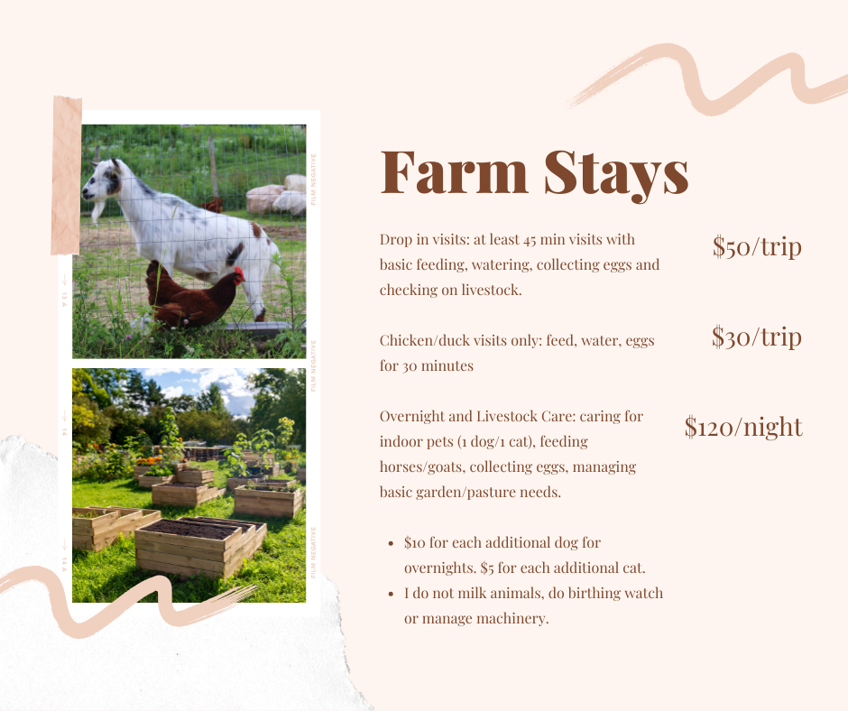 Flyer advertising farm stays with images of a goat, hen, and garden beds. It lists prices for visit options, overnight care, and livestock care services.
