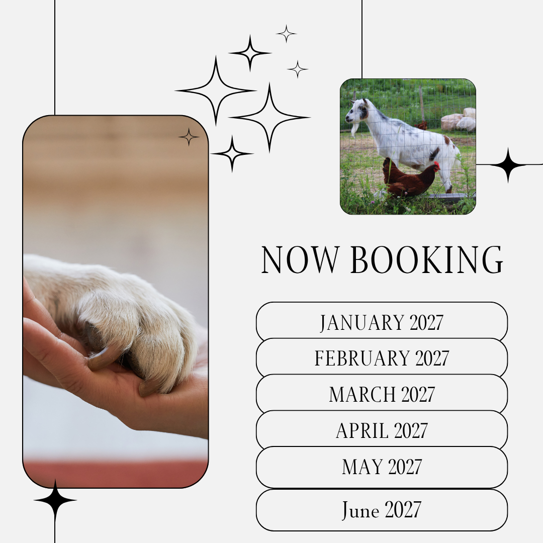 A promotional flyer for booking service availability with images of a puppy paw and a goat with a chicken, along with booking months listed from January to June 2027.