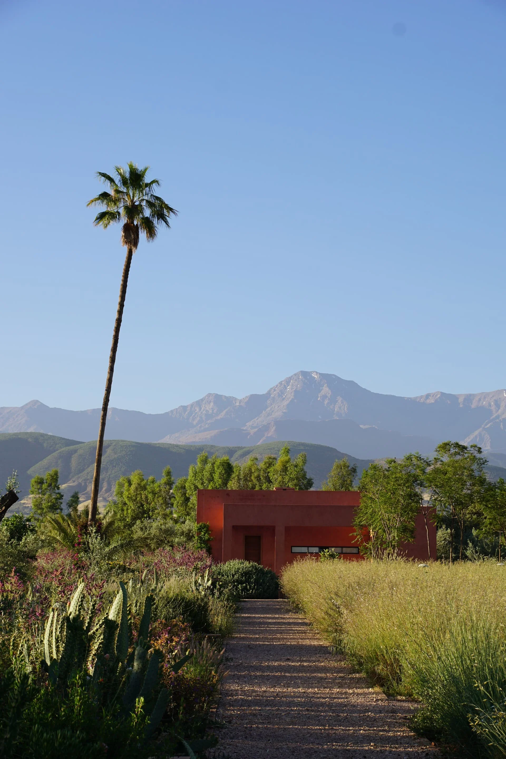 garden-11.jpg