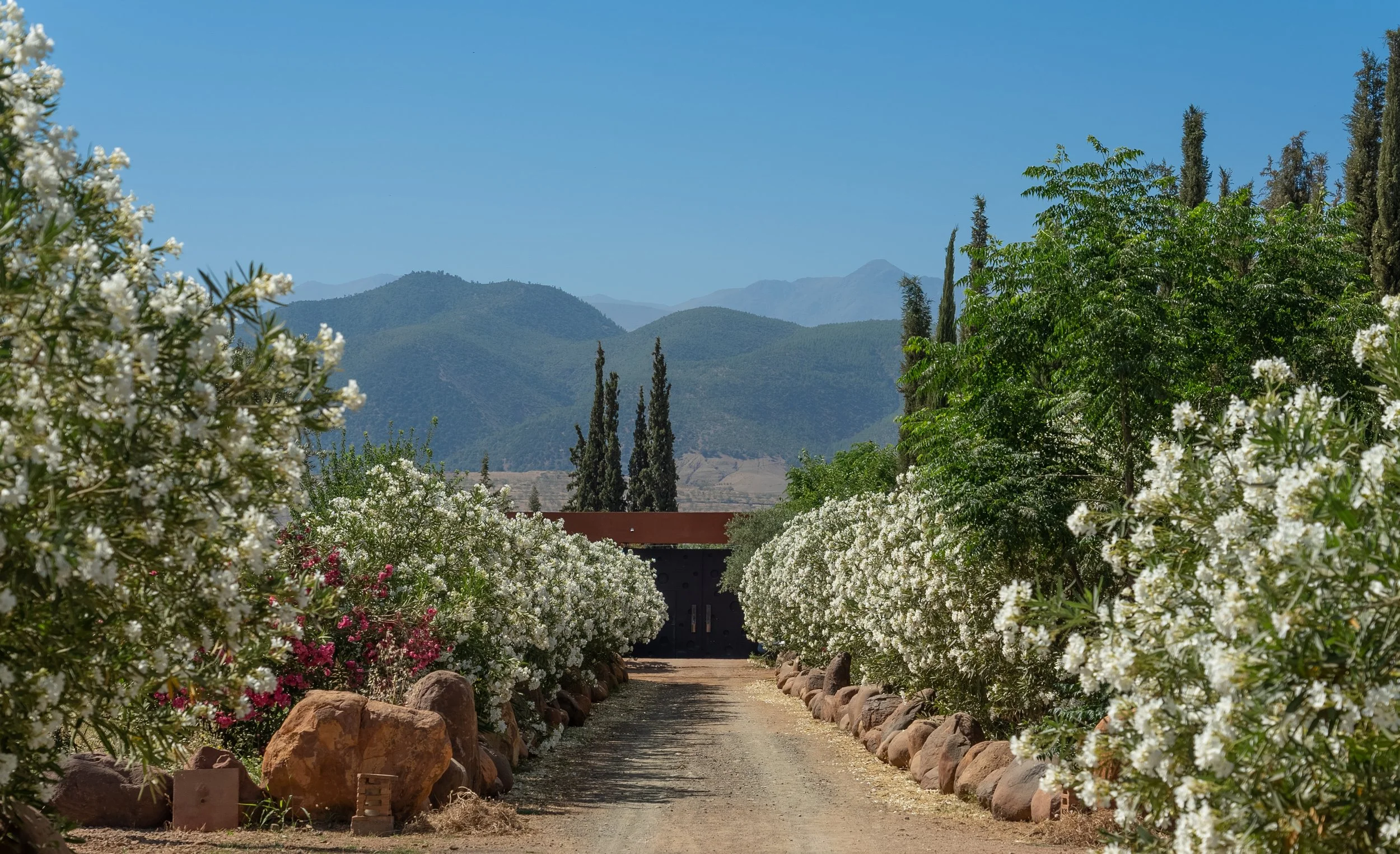 garden-14.jpg