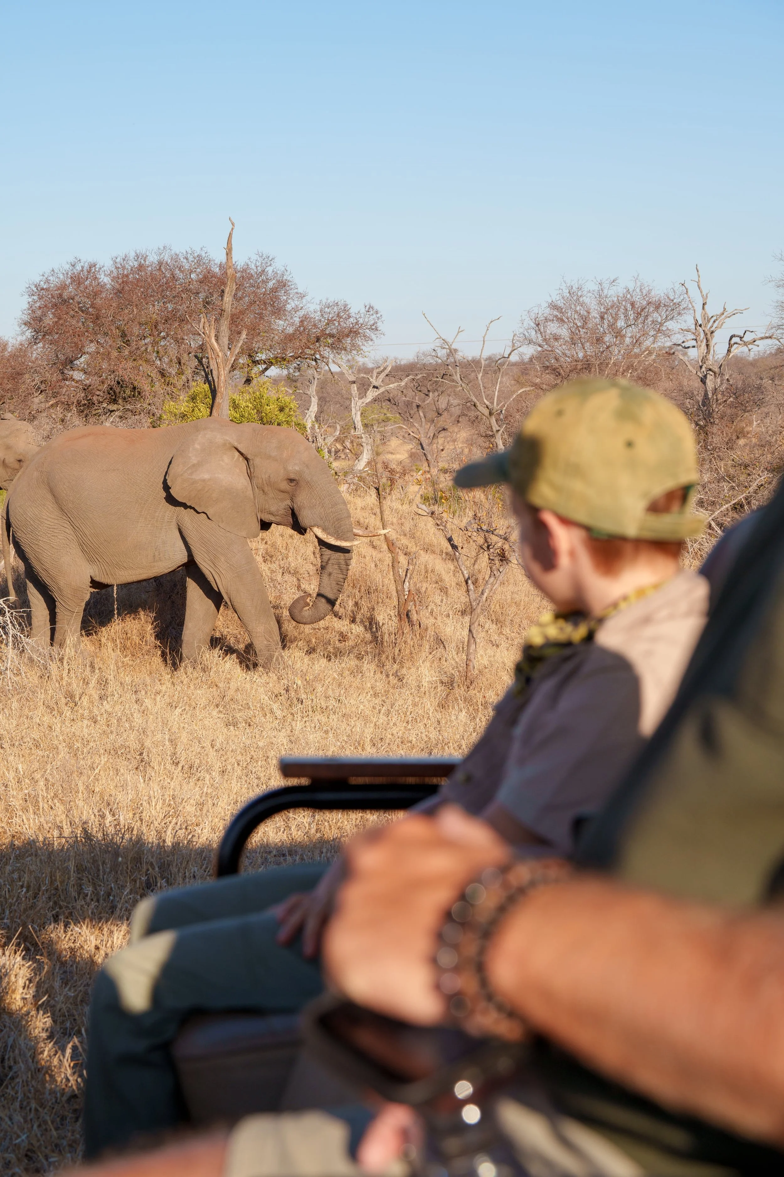 ujima-fat-dassie-family-and-lodge-shoot-022.jpg