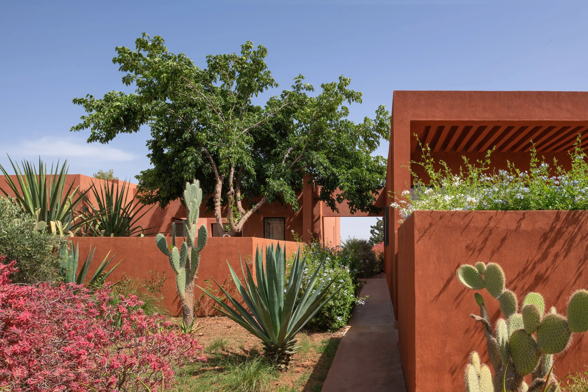 garden-13.jpg