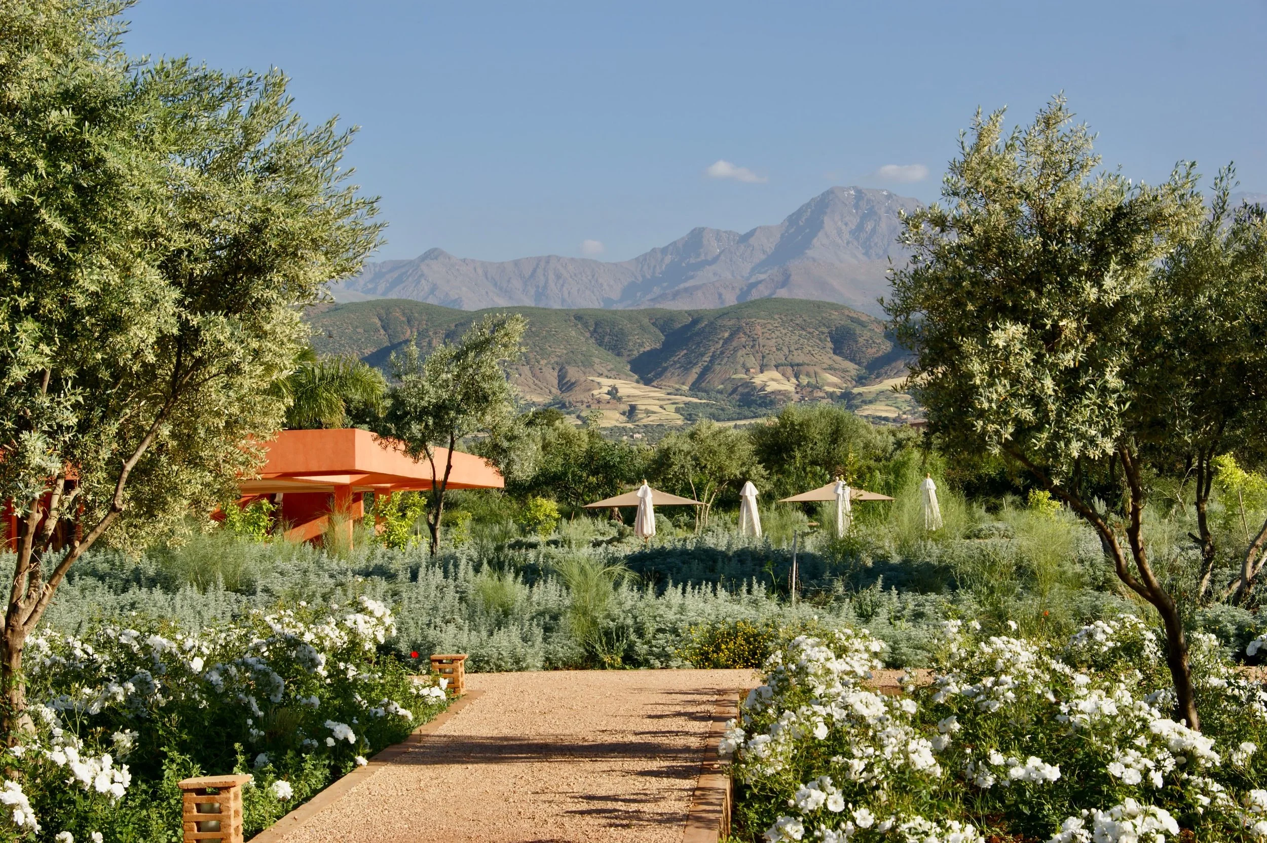garden-1.jpg
