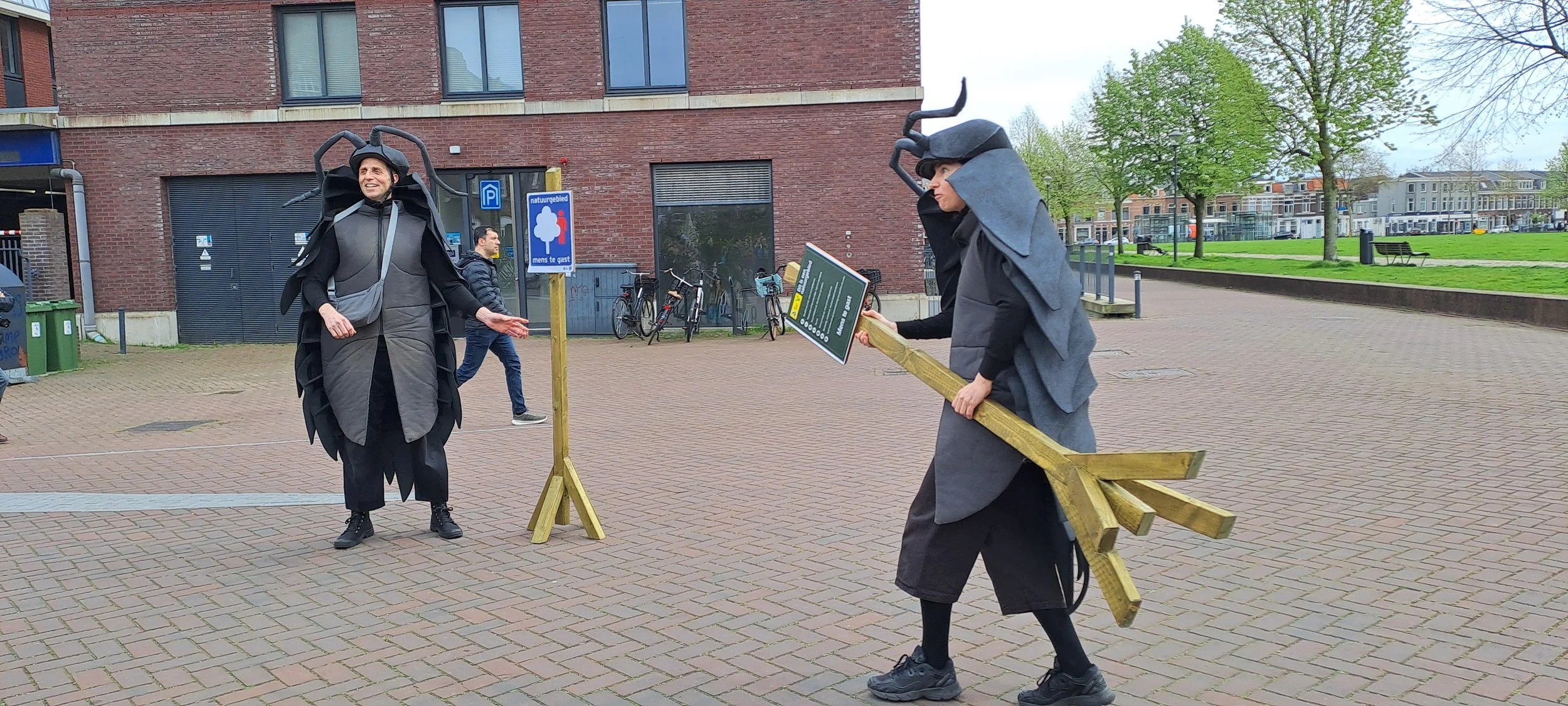 Pissebedden Haarlem 3.jpg