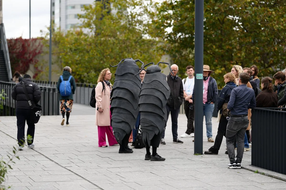 Pissebeddenwandeling straat.jpg
