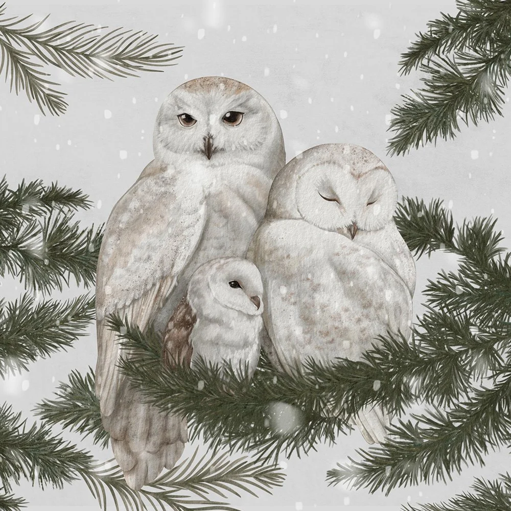 Nestled Together · owl panel: three snowy owls huddled together on a snowy pine bough