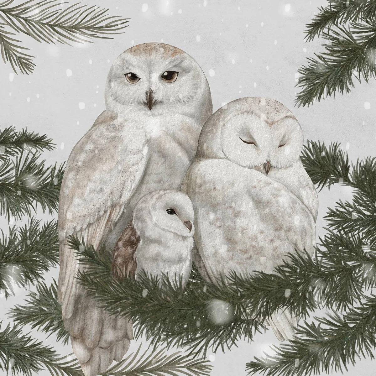 Winter Woodland Whispers watercolor pattern with snowy owls and pine branches