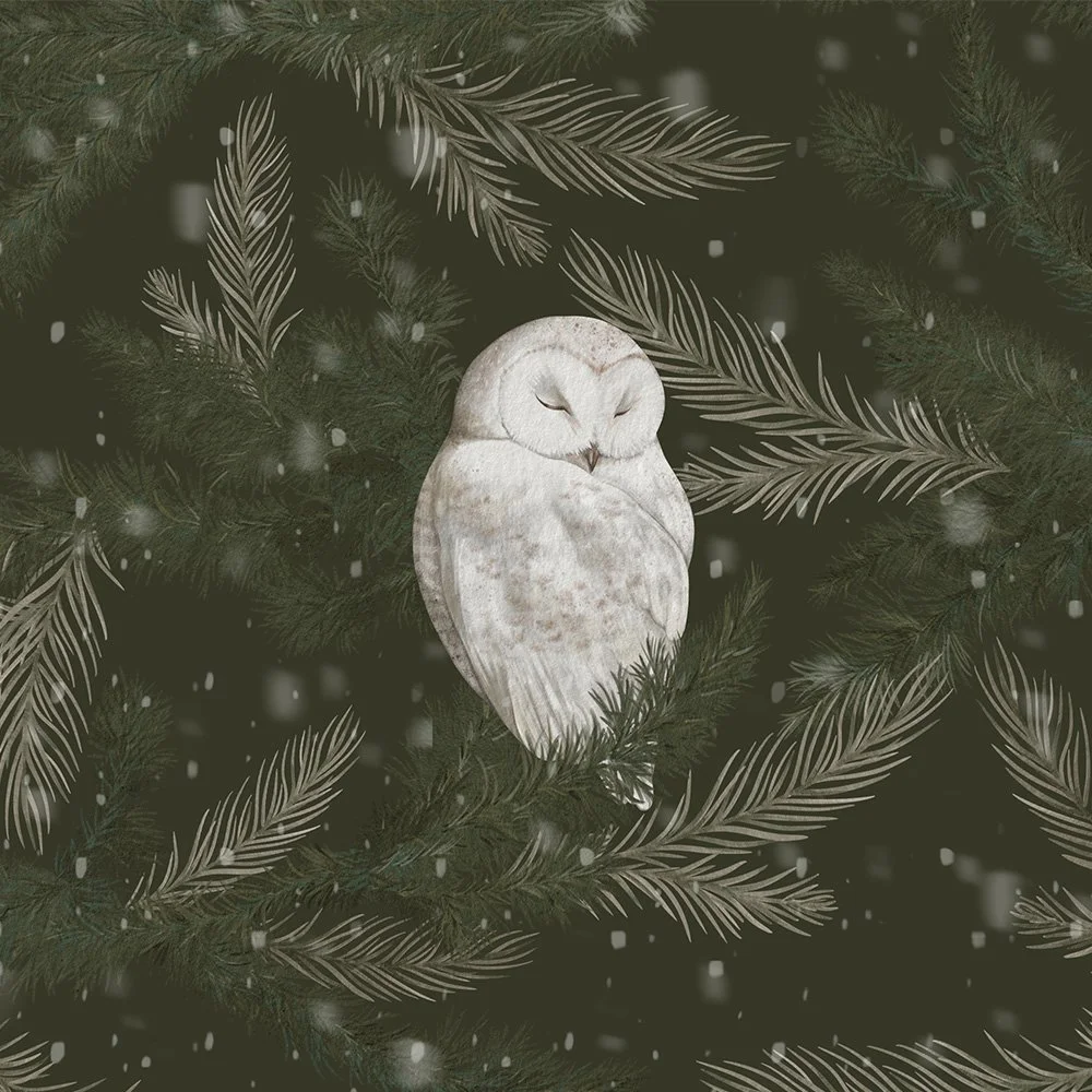 Silent Night · owl panel: a sleeping snowy owl among pine branches on deep forest green