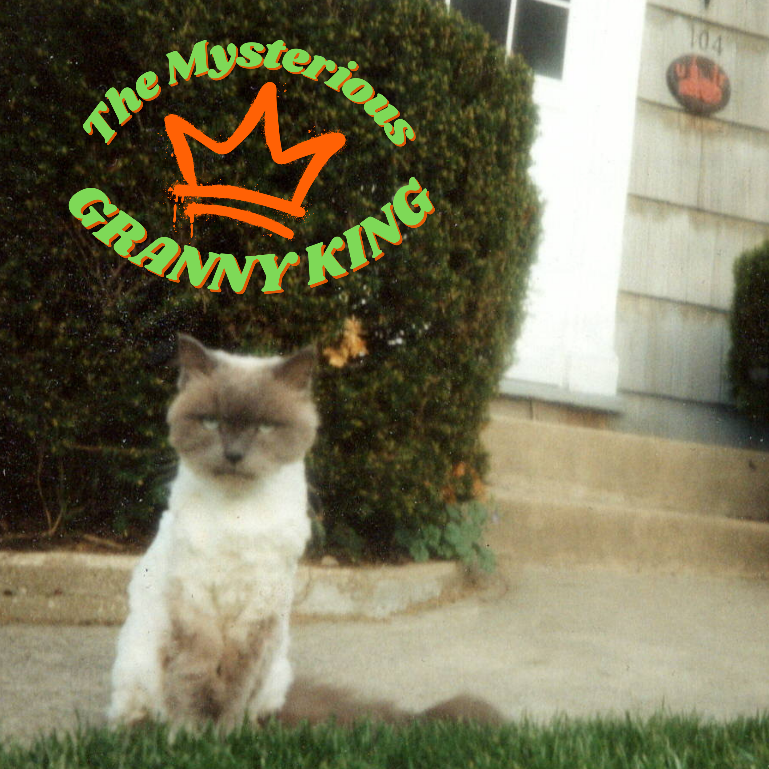 A cat standing outdoors on a sidewalk near a bush and a house. The image has a large logo overlay with the text "The Mystery of Stranger..." in green and orange letters.