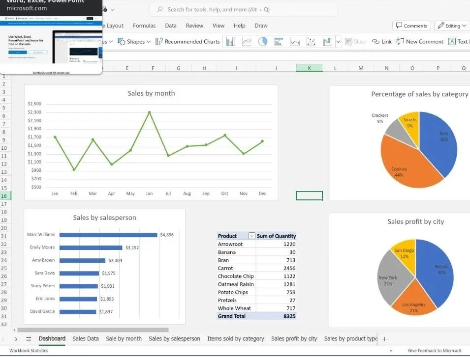 Screenshot of a Microsoft Excel worksheet with various charts and data, including a line graph of sales by month, a pie chart of sales percentage by category, a bar chart of sales by salesperson, and a pie chart of sales profit by city.