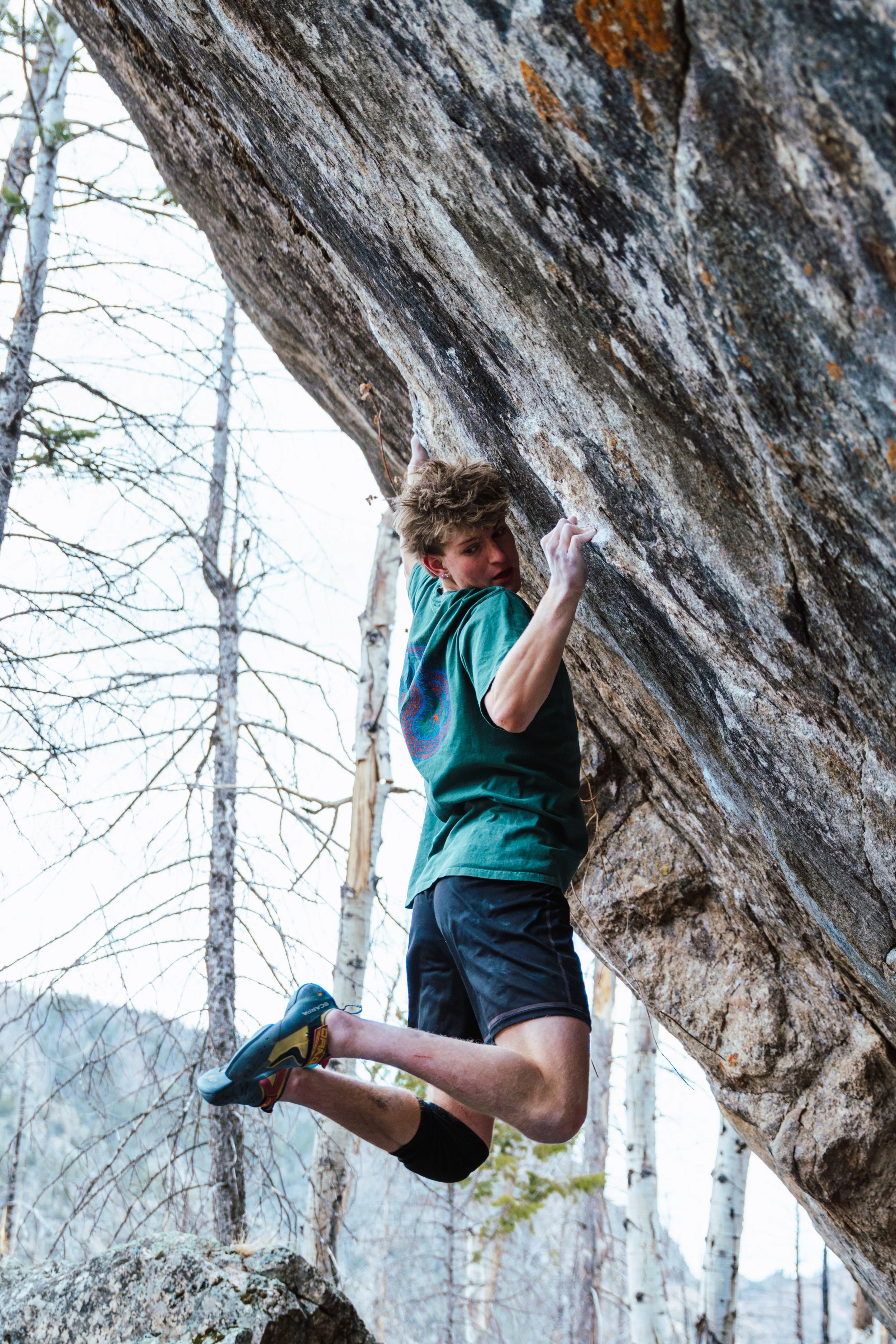 A person engaged in rock climbing outdoors, gripping a large rock overhanging a forested area with tall, thin trees and no leaves.
