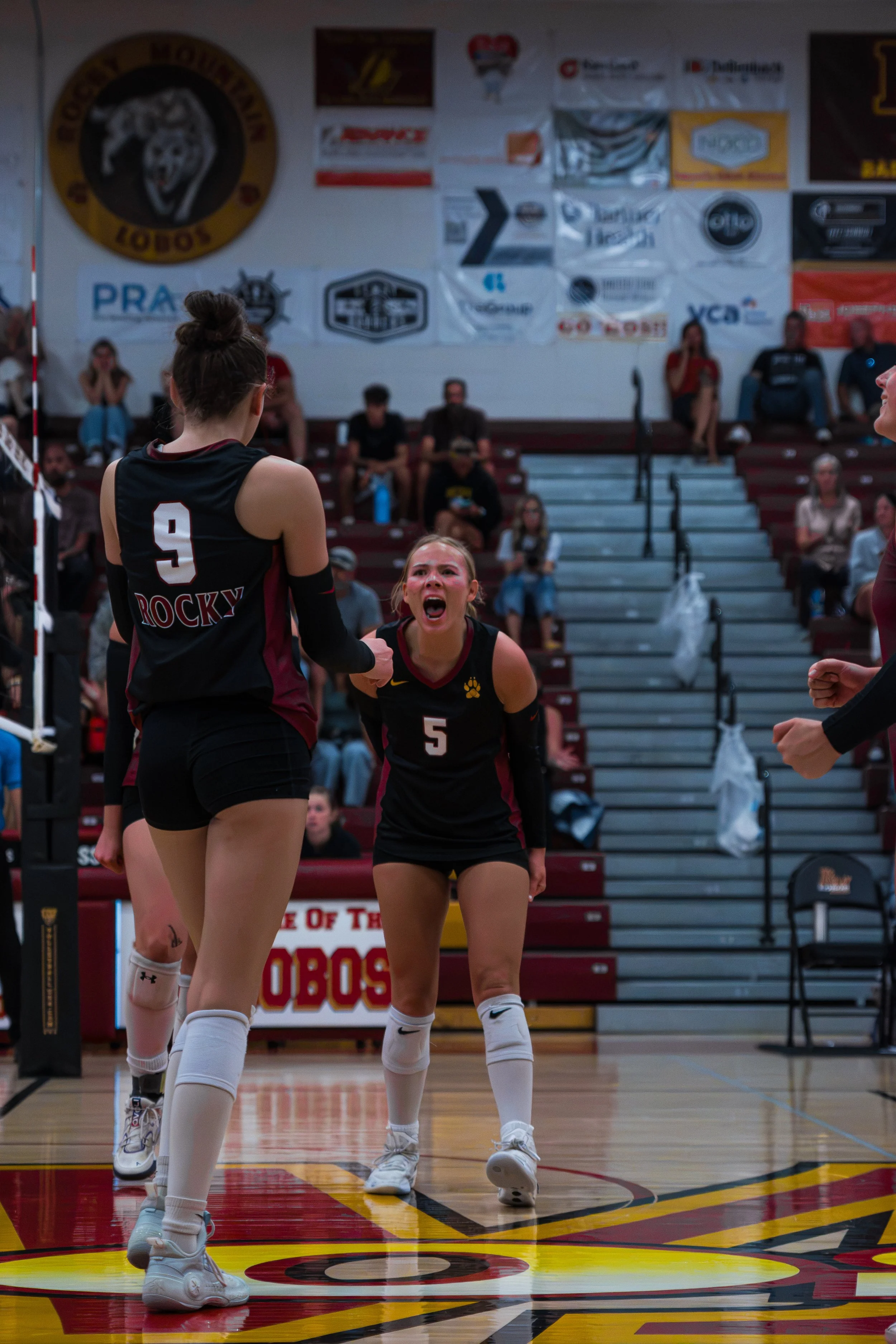 Two volleyball players celebrating during a match in a gymnasium, with spectators seated in the background.