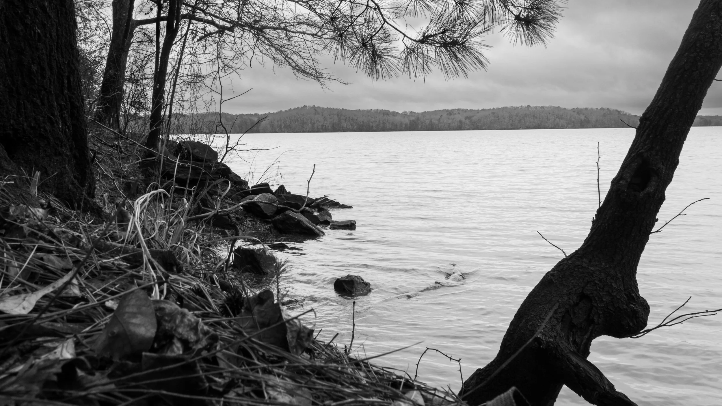 black-and-white-background-9.jpg