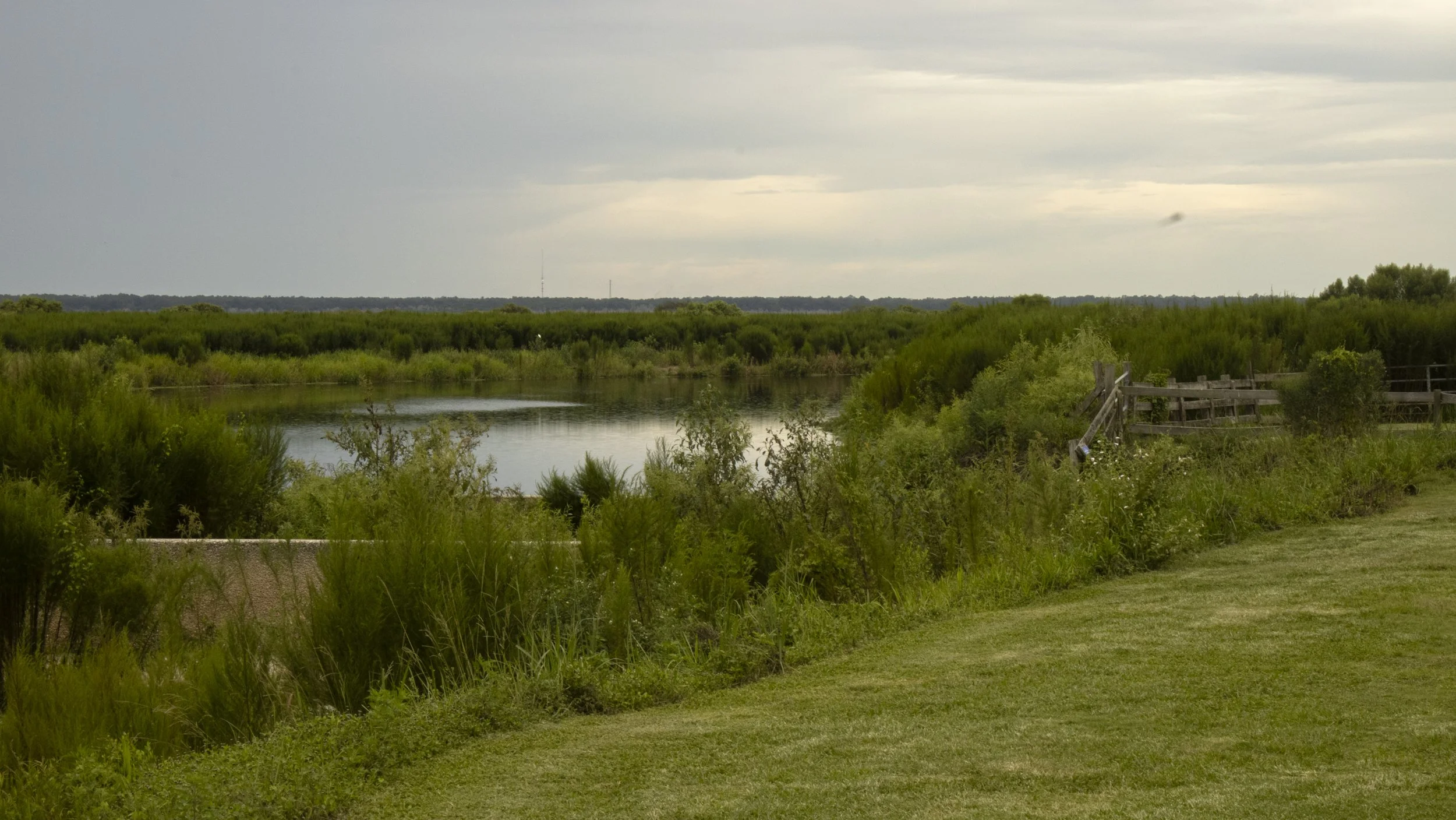 PHOTO_455_d_gomez_location-3.jpg