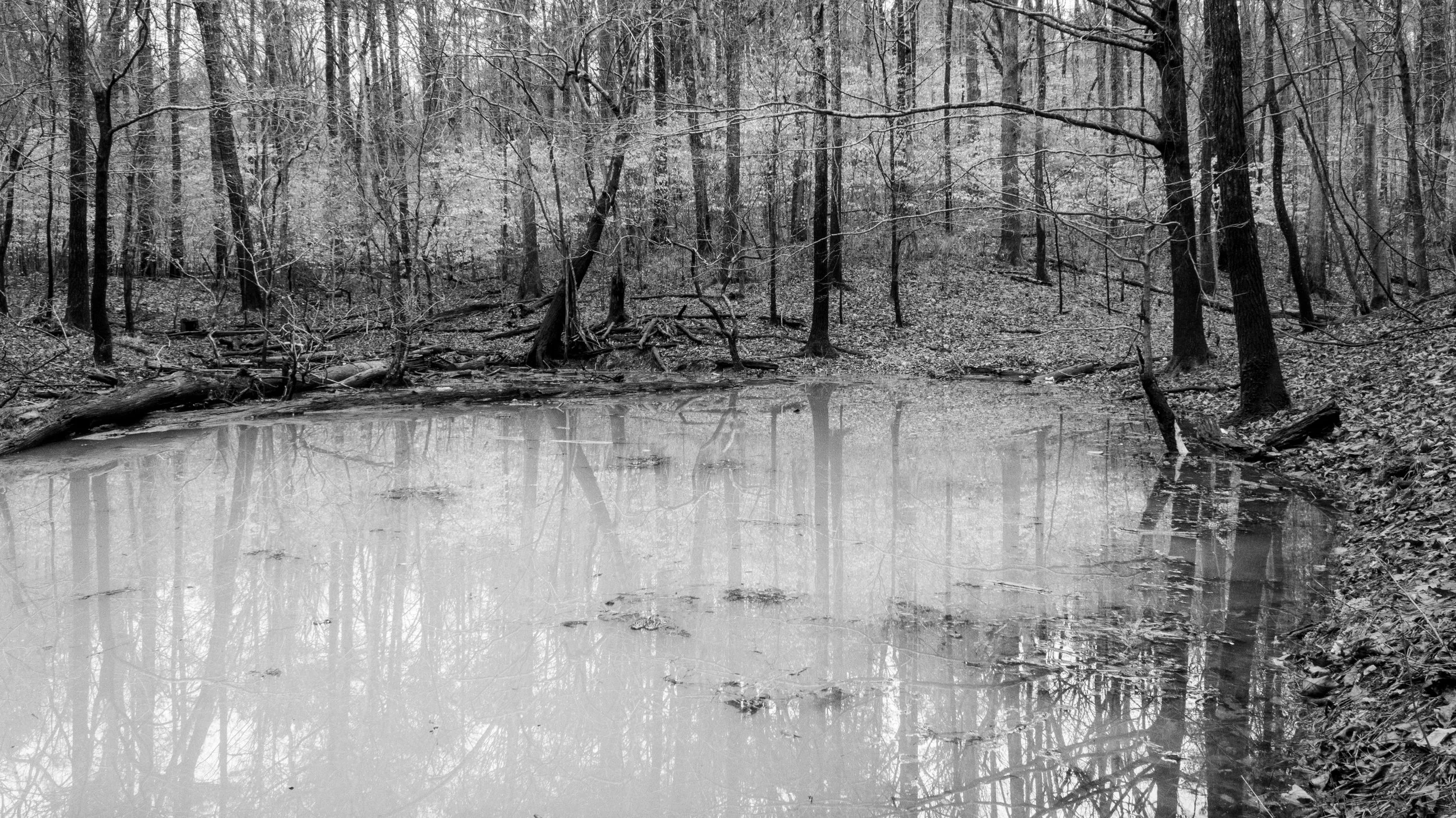 black-and-white-background-6.jpg