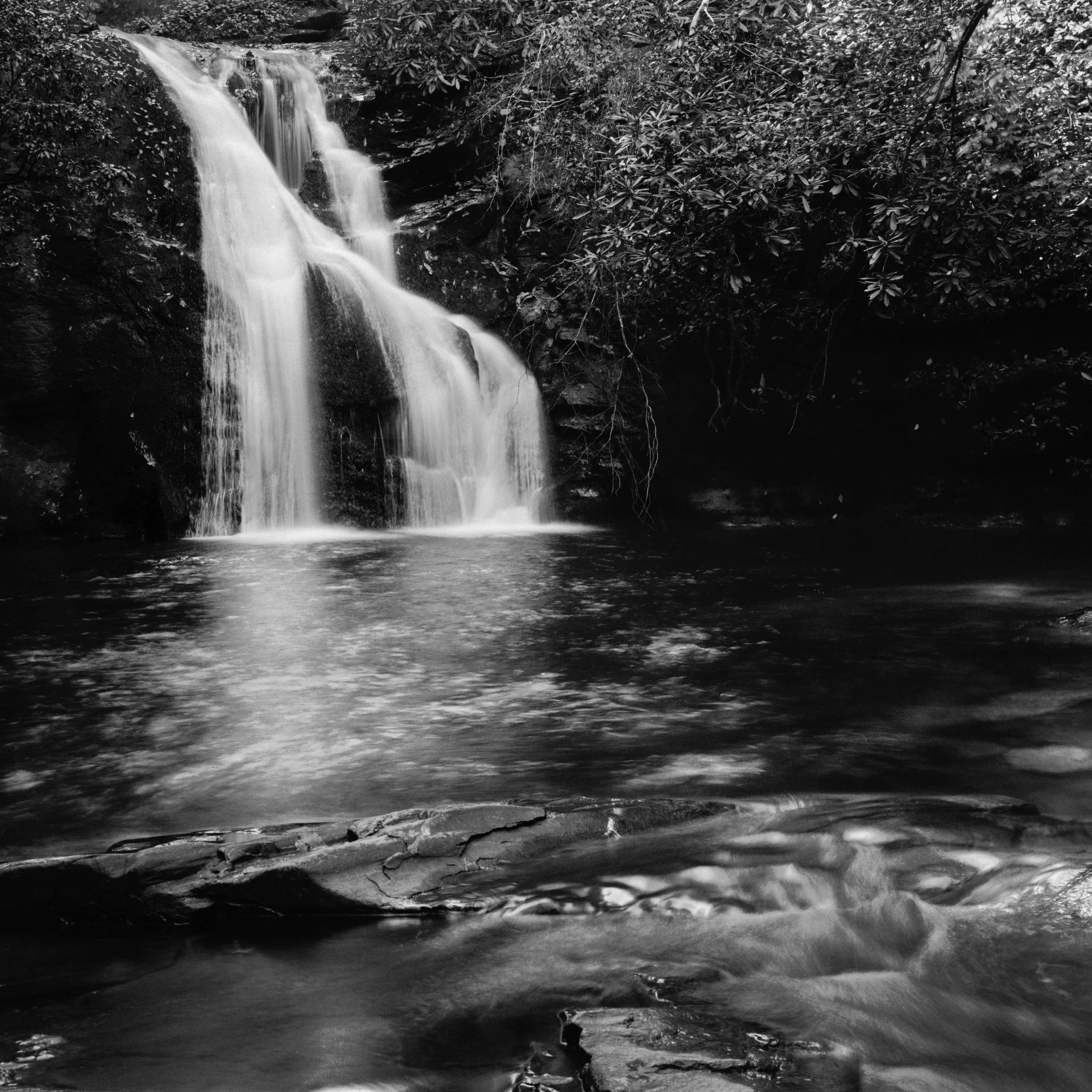 Final_Photos_319-8.jpg