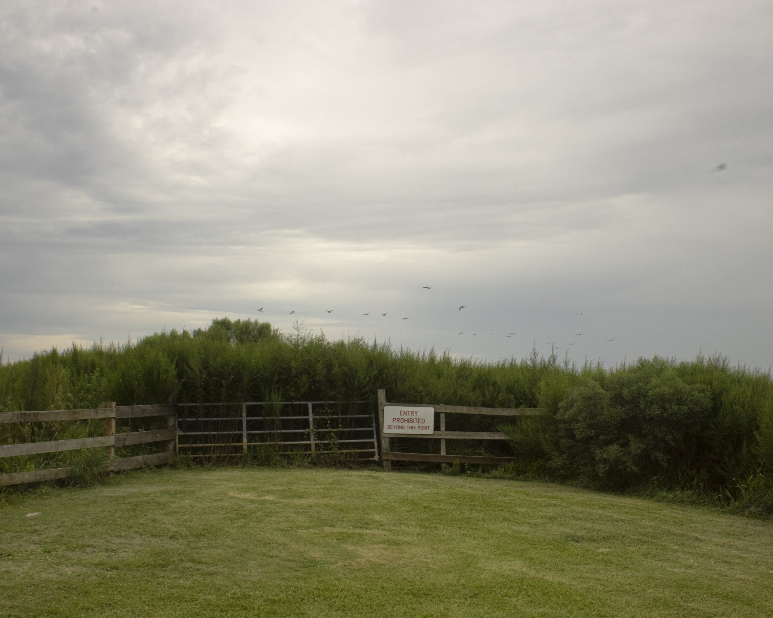 PHOTO_455_d_gomez_location-2.jpg