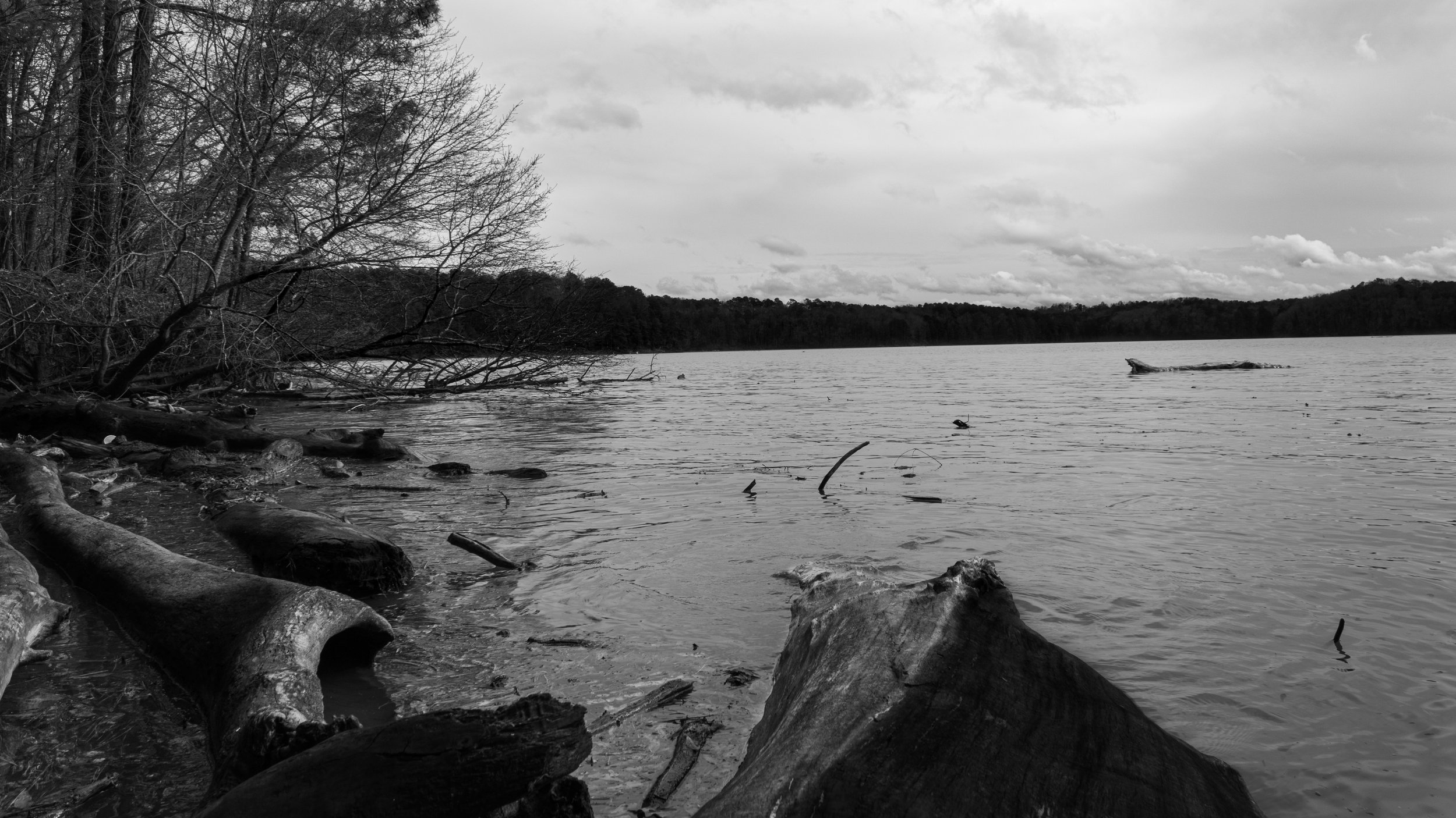 black-and-white-background-5.jpg