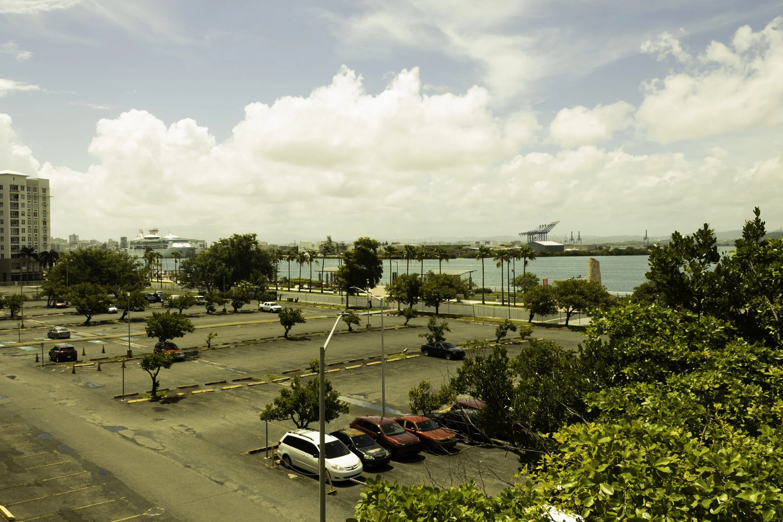 AllPortoRico Pics-3.jpg