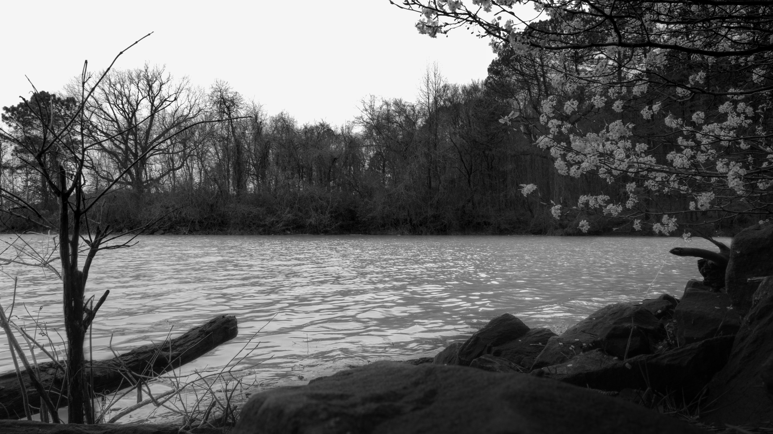 black-and-white-background-8.jpg