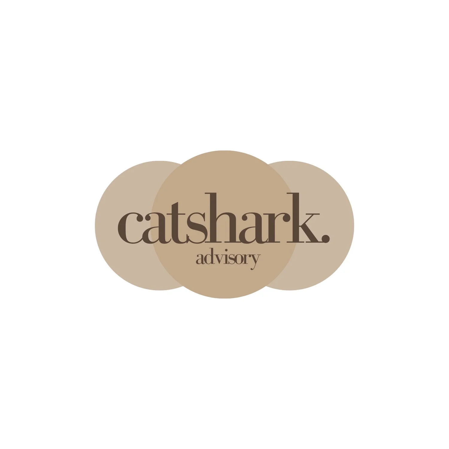 CatShark Advisory - your partner for growth