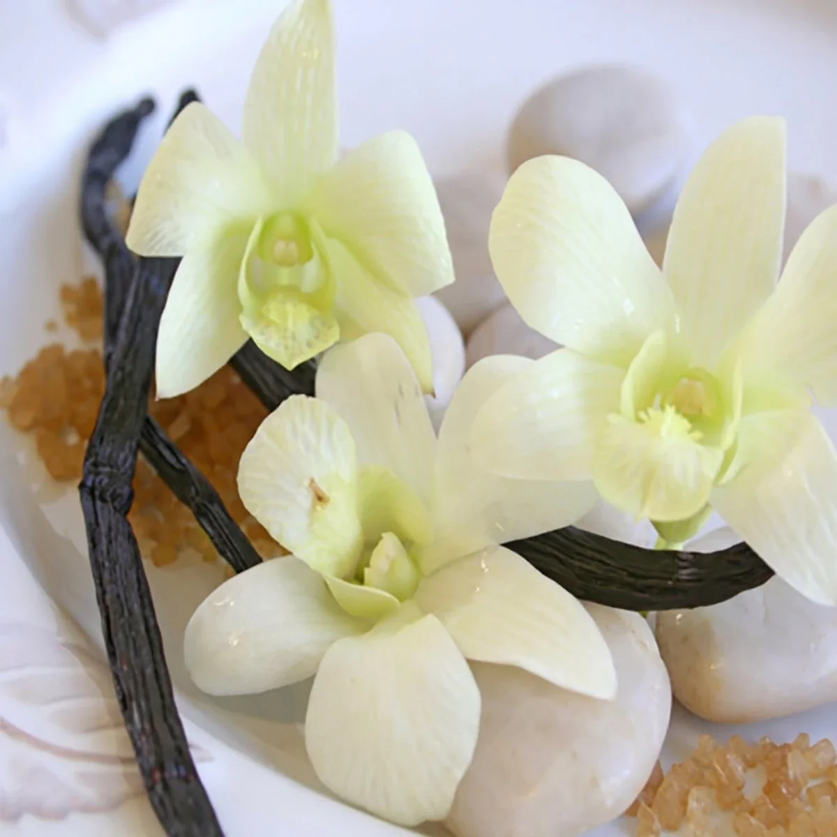 Warm_Vanilla_Sugar__00215.webp