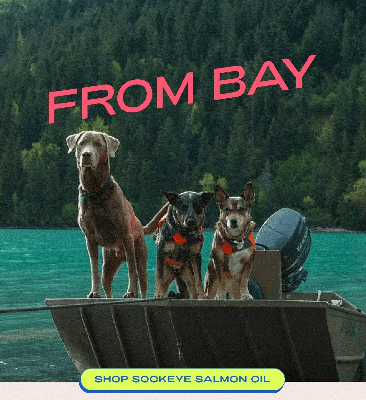 salmon-bay.jpg